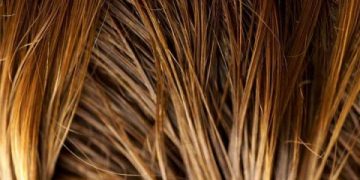 Comment déterminer votre type de cheveux et de cuir chevelu